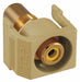 Inline Coupler RCA Duplex Ivory