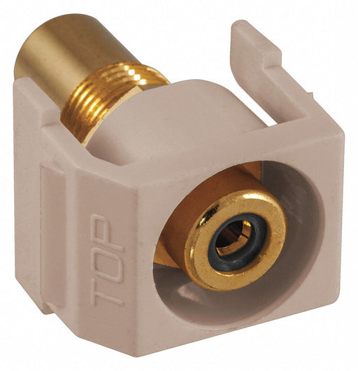 Keystone Jack 0.875 in H Beige