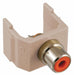 Inline Coupler RCA Duplex Almond