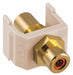 Keystone Jack 0.8125 in H Ivory