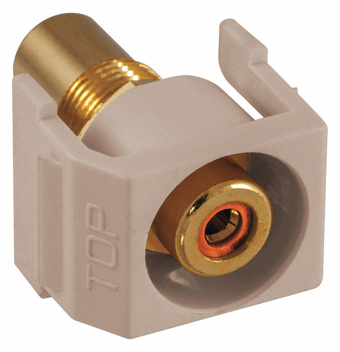 Keystone Jack 0.875 in H Beige