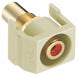 Keystone Jack 0.875 in H Beige