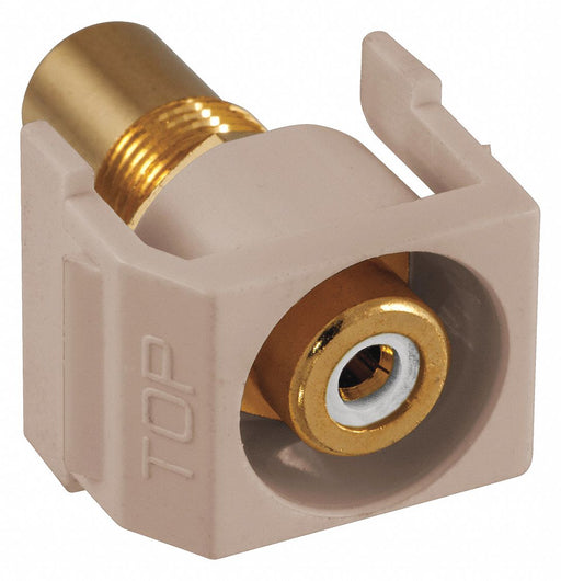 Inline Coupler RCA Duplex Almond