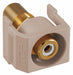 Inline Coupler RCA Duplex Almond