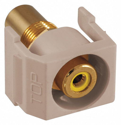 Inline Coupler RCA Duplex Almond