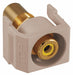 Inline Coupler RCA Duplex Almond