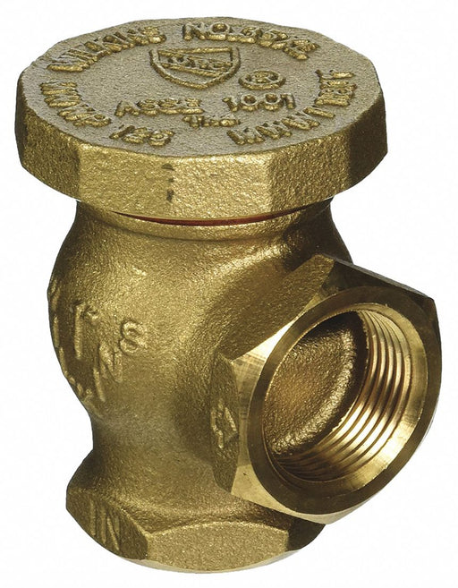 Vacuum Breaker 1-1/4 in FNPT x FNPT