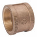 Coupling Brass 1/8 in Pipe Size FNPT