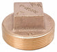Square Head Plug Brass 1/8 in MNPT