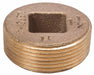 Countersink Plug Brass 1/2 in MNPT
