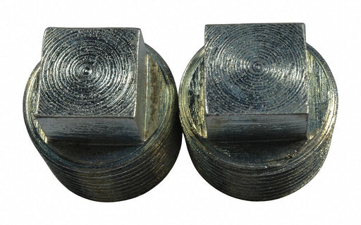 Npt Pipe Plug 3/4 in PK2
