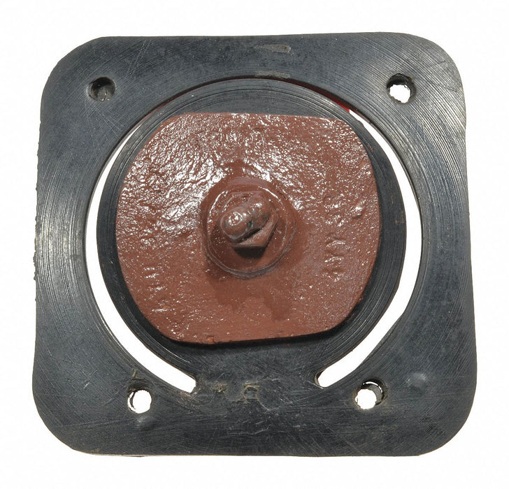 Check Valve Assembly