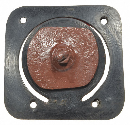 Check Valve Assembly