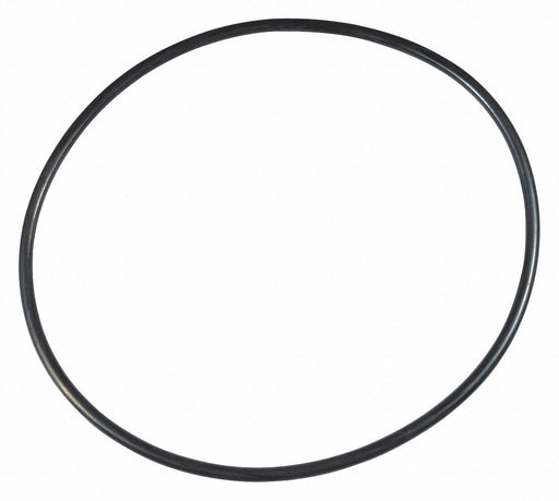 Ss Pump O-Ring