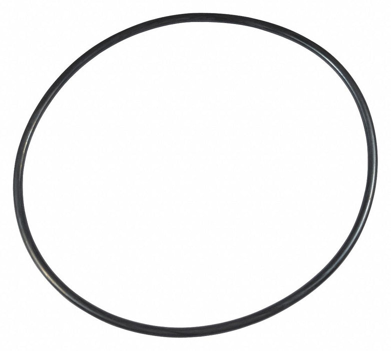 Ss Pump O-Ring
