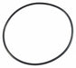 Ss Pump O-Ring