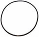 Ss Pump O-Ring