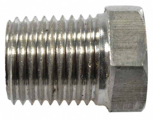Pipe Plug SS316 1/4 Npt SS PK2