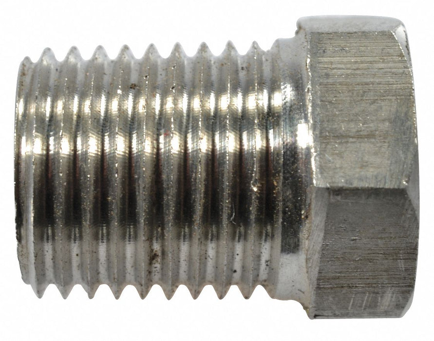 Pipe Plug SS316 1/4 Npt SS PK2