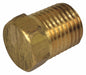 Pipe Plug 1/4 NPT