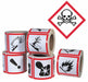 Pictogram Label Skull PK500