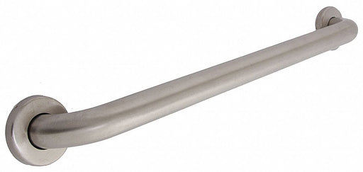 Grab Bar SS Satin 18 in L