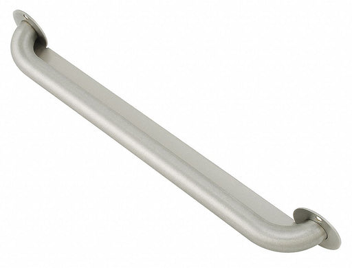 Security Grab Bar SS Satin 18 in L