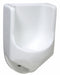 Waterless Urinal Wall 29 in H 18 in L