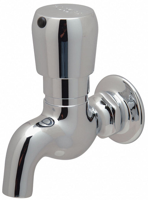 Low Arc Chrome Zurn AquaSpec Cast Brass