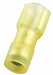 WireDisconnect Brass Yellow Nylon PK50