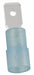WireDisconnect Brass Blue Nylon PK100
