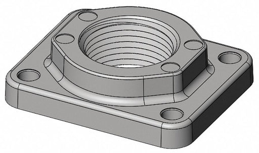 Flange 1 in