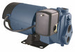 3/4 HP Convertible Jet Pump 90 ft Lift