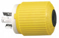 Male Plug 28 Volt Dc