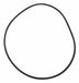 O-Ring 7 In.