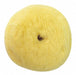 Inch Hook And Loop Polishing Pad
