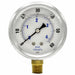 Differential Pressure Gauge 0 to 60 psi