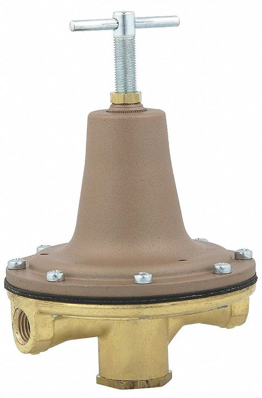 Pressure Regulator 1/4 in 0 to 50 psi