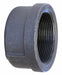 Round Cap Malleable Iron 2 in FNPT