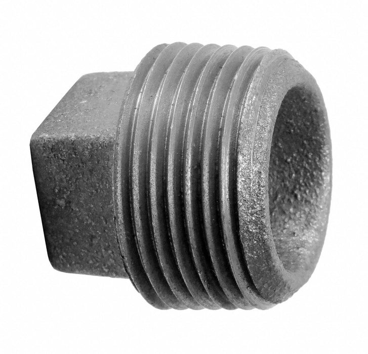 Square Head Plug Malleable Iron 2 in