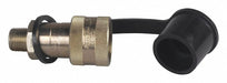 Ram Half Coupler And Dust Cap