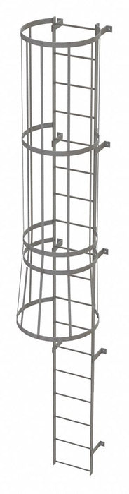Fixed Ladder w/ Safety Cage Steel 17 ft.