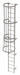 Fixed Ladder w/ Safety Cage Steel 17 ft.