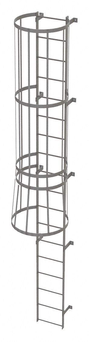 Fixed Ladder w/ Safety Cage Steel 17 ft.