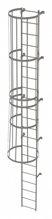 Fixed Ladder w/ Safety Cage Steel 20 ft.