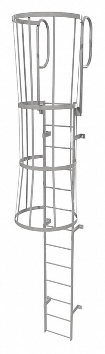 Fixed Ladder w/ Safety Cage Steel 12 ft.