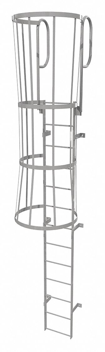 Fixed Ladder w/ Safety Cage Steel 12 ft.