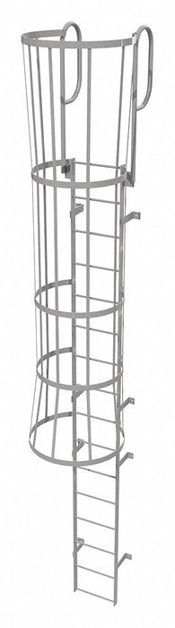 Fixed Ladder w/ Safety Cage Steel 15 ft.