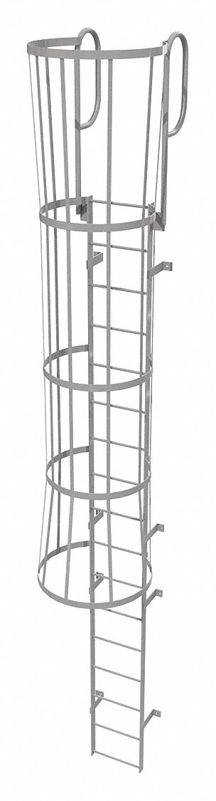 Fixed Ladder w/ Safety Cage Steel 16 ft.