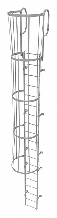 Fixed Ladder w/ Safety Cage Steel 18 ft.